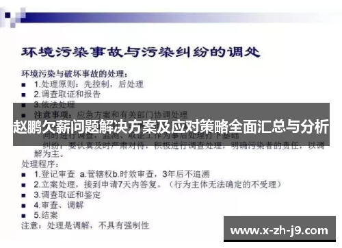 赵鹏欠薪问题解决方案及应对策略全面汇总与分析