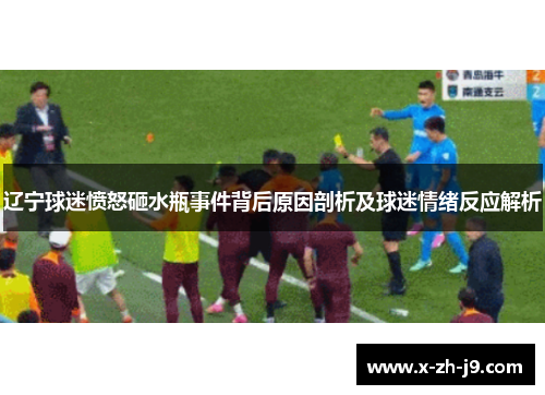 辽宁球迷愤怒砸水瓶事件背后原因剖析及球迷情绪反应解析
